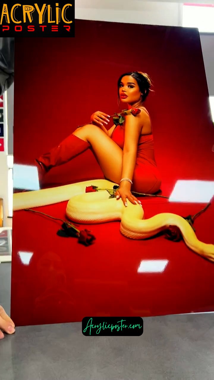 Acrylic poster (1208)