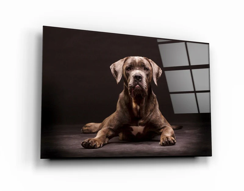 ・"Dog"・Glass Wall Art